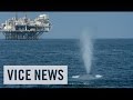 VICE News Daily: Beyond The Headlines - July, 25 2014