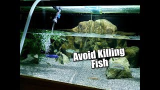 THE SAFEST WAY TO DO WATER CHANGES ON YOUR AQUARIUM