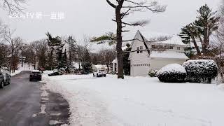 Live 12/20 纽约长岛Roslyn Heights, NY 清晨美丽雪景