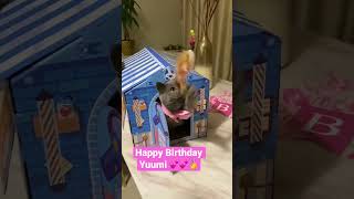 Cat birthday! 🥳🥳 #1yo Happy birthday Yuumi 💕! #catbirthday #catparty