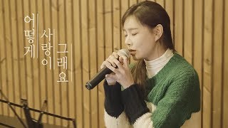 김시원 - 어떻게 사랑이 그래요