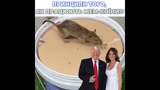 ЯК ПРАЦЮЮТЬ МЕМ-КОЇНИ!!!