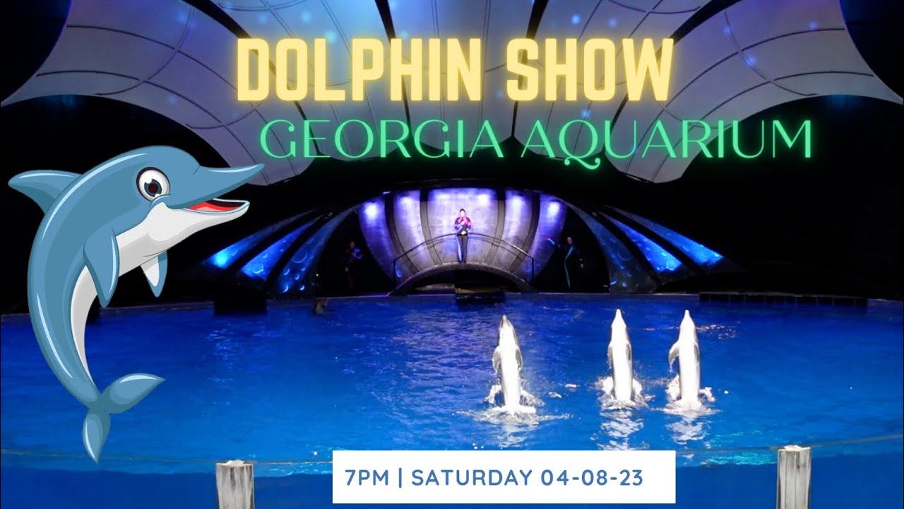 DOLPHIN SHOW | GEORGIA AQUARIUM. THE LARGEST AQUARIUM IN THE WORLD ...