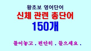 왕초보 영어단어 신체 관련 150단어