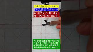 #근묵자흑(近墨者黑) : 먹을 가까이 하면 검어진다는 뜻으로, 나쁜 사람과 가까이 하면 나쁜 버릇에 물들게 됨을 이르는 말. #shorts,