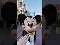 Mickey Mouse Kicked a Toddler Inside Disneyland