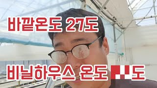 비닐하우스 밀폐하면 온도가 얼마 높을까?