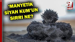 Ünye kumsallarının doğal sağlık cevheri: Manyetik siyah kum | A Haber