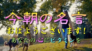 【今朝の名言：毎朝７時発信中】おはようございます！今朝の名言です！あなたの心に名言のビタミンを🍀🌸🌿🪴⭐️#人生訓#名言#格言#心#生き方#幸福#感動#魂