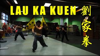 Lau Ka Kuen 劉家拳 (Chiu Wai Style Hung Gar 趙威洪家拳) Hung Gar Kung Fu 洪家功夫