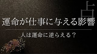 仕事の資格を手に入れるために学校へ行きたい女の子