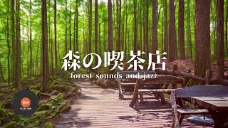 環境音＋JAZZ やさしい森の喫茶店 森カフェジャズ 静かなJAZZで  勉強、仕事のための Relaxing Jazz  BGM カフェ - 作業用BGM