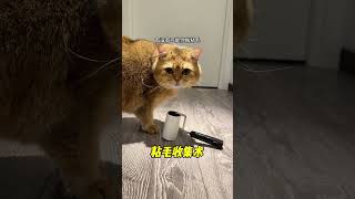 【#PuPu噗噗】今天我要猛猛吸猫! #辅舒良#辅舒良萌宠拯救鼻鼻大作战 #丙酸氟替卡松鼻喷雾剂