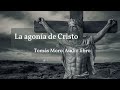 la agonía de cristo tomas moro audio libro completo