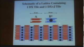 Programming Nanoscale Structure Using DNA-Based Information