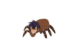 My spider will be called \