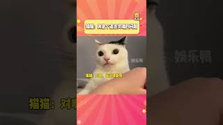 猫猫：我是谁？我在哪儿？我生自何来何方？#猫咪#萌宠出道计划#谁说猫猫没有表情的