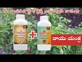 vayu yantra in redchilli black thrips control వాయు యంత్ర మిరప పంటలో బ్లాక్ త్రిప్స్ నివారణకు