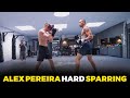 Alex Pereira switches to beast mode while sparring