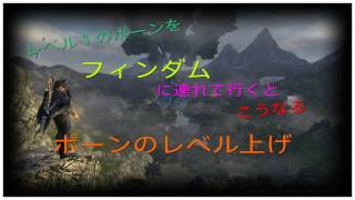 【DDON】レベル１のポーンをフィンダムに連れて行くとこうなる