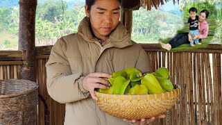 Daily life of a single mother, gardening and picking fruit to sell