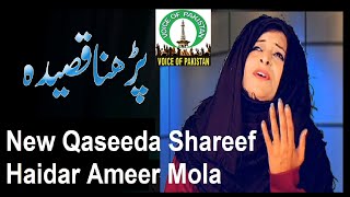 Qaseeda jashn-e- Ali shere khuda / Haidar Ameer Mola on voice of pakistan tv Haq Ali