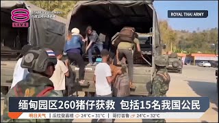 缅甸园区260猪仔获救  包括15名我国公民【2025.02.13 八度空间华语新闻】