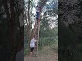 falling off a ladder