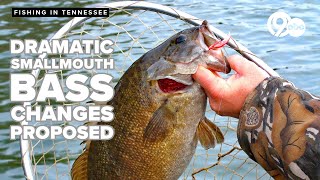 State wildlife officials propose dramatic change in smallmouth bass limits in Tennessee