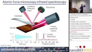 Interphase Chemical Mapping Of Carbon Fiber-epoxy Composites... (Chris Montgomery)