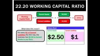 22.20 Working Capital Ratio