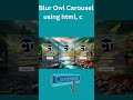 Create a BLUR EFFECT on Owl Carousel with HTML CSS and JavaScript!