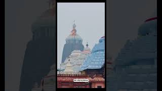 Jagannath  #jagannath  #jaganathpuri  #ytshorts  #Dwaraphitaniti  #alati  #puri