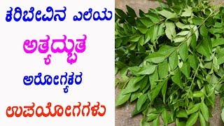 ಕರಿಬೇವಿನ ಎಲೆಯ ಅತ್ಯದ್ಭುತ ಅರೋಗ್ಯಕರ ಉಪಯೋಗಗಳು | Top 10 Health Benefits of Curry Leaves |