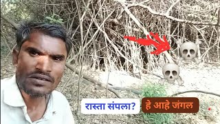 जंगलातून वाट संपली की |