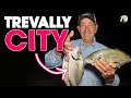 The Benefits of Beach Fishing at LOW TIDE! Access to Trevally CITY!!! 🐟