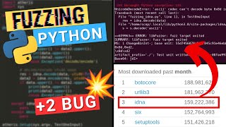 How I found 2 Bugs in the "TOP 3 Most Downloaded" PyPI package with Fuzzing (Google Atheris Fuzzer)