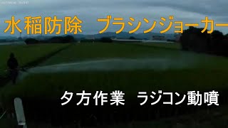 水稲防除　穂揃い後ブラシンジョーカー　にこまる　ラジコン動噴  9月6日