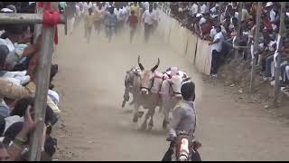 *सलग दोन दिवसातील मोशी घाटातील आकर्षक बारी-३ नंबर फायनल मानकरी -कै ज्ञानेश्वर सखाराम चव्हाण ,वडज*