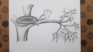 Karakalem Kolay Ağaç ve Kuş Çizimi, Çizim Hobimiz Çizimleri - Easy Tree and Bird Drawing