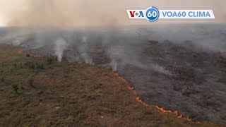 Chuvas e incêndios provocam desastres no planeta