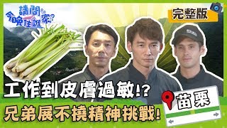 【泰安三義】小孩哭鬧不已、工作皮膚過敏！？兄弟三人拼命展現不撓精神面對挑戰！【#請問今晚住誰家】20191003 EP36 完整版 李李仁 溫昇豪 肯納