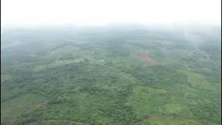 100 hectares Xanda (Dairy) Farmland