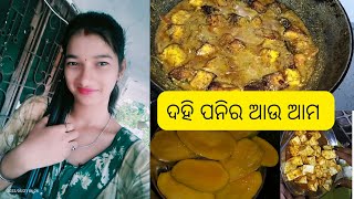 new style ଦହି ପନିର || ମୁଇଁ କେନ୍ତା ରାନ୍ଧୁ ଛେ ଦେଖ || Sambalpuri vlogs videos ||