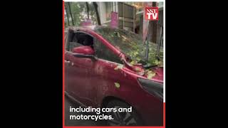 Five cars, five motorcycles and property damaged after several trees uprooted in the city