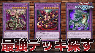 新パック最強デッキを探す！【遊戯王デュエルリンクス】　【Yu-Gi-Oh 】