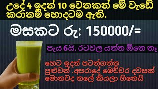 කොළ කැද  ව්‍යාපාරය , රු:150000/= ට වඩා ලාබ ලබන්න.(# swayan rakiya at home 2023)