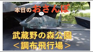 本日のおっさんぽ・武蔵野の森公園・調布飛行場