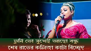 তুমি তো সুখেই আছো বন্ধু আমার সুখের দিন গুলো নিয়ে গেছ। tumi to sukei aco bondu।EM Baul Media