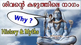 ശിവൻ കഴുത്തിലണിഞ്ഞിരിക്കുന്ന നാഗം ആരാണ്? / Snake around Siva's neck | Malayalam